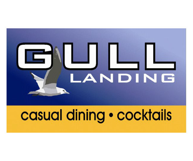 gull-landing